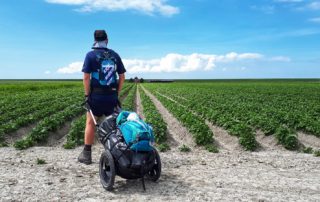 Wanderer mit Pilgerwagen blickt über ein Feld am Elfstedenpad